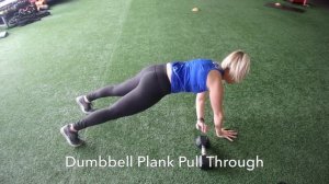 Dumbbell Plank Pull Through