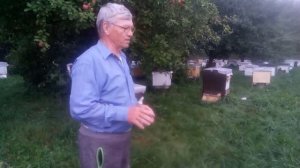 Пасека Лаврова. Сила семей после медосбора.