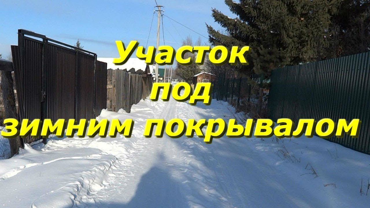 Участок под зимним покрывалом. Собака-баловака.