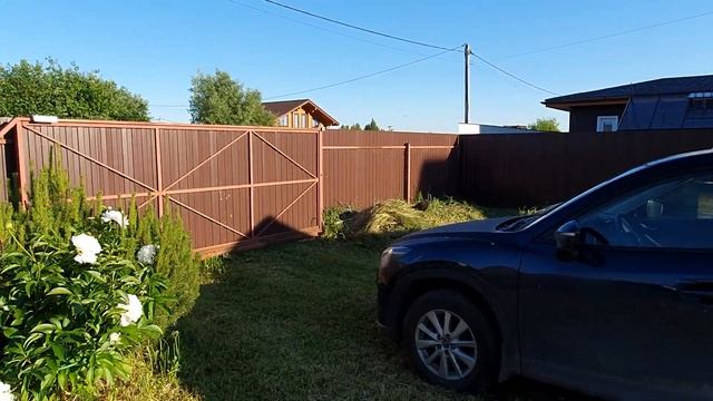 Французский бульдог Варя на даче или "где хорошая собака?" смотреть онлайн