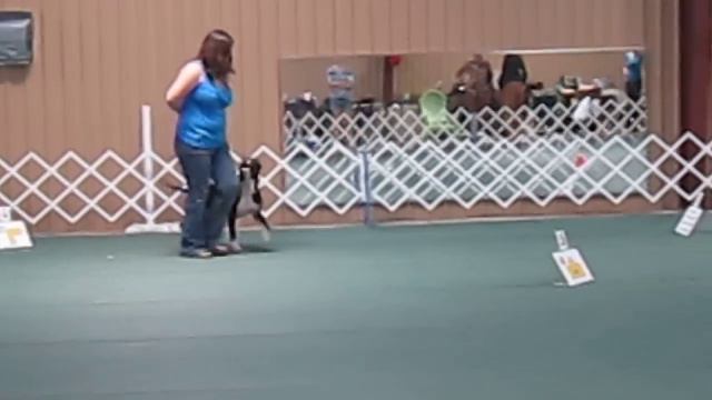 Phlox Show and Go смотреть онлайн