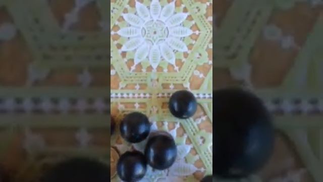 Смородина Ядрёная. смотреть онлайн