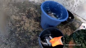 Рыбалка на Морду. Морда Трещала от Такого Улова/Зарыбление Водоёма Иди Плыви