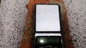 Обзор малины Глен Файн /Что произошло с ягодой через неделю.