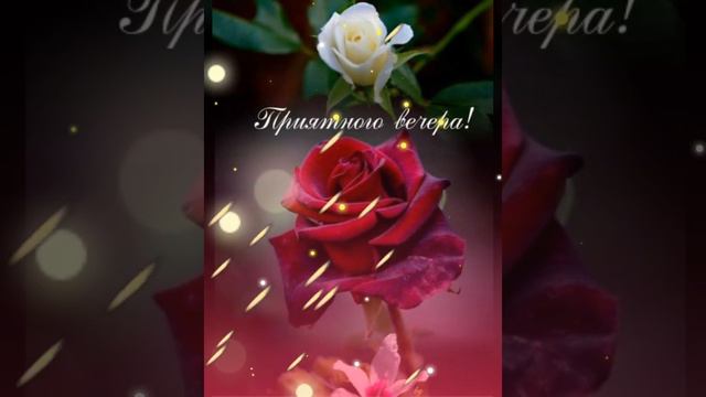 @Добрый вечер, отличного настроения 💞💞💞🤗👋👋👋. смотреть онлайн