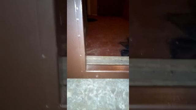 Дверь техническая, полуторная.