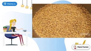 Овсяная крупа. Как приготовить в домашних рецепт