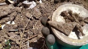 ПОИСК МЕТАЛЛОЛОМА НА СВАЛКЕ С МАГНИТОМ! Поставил РЕКОРД по Картону за один день в пешем режиме!