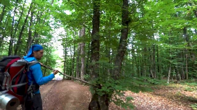ПАРНЫЙ ПОХОД ПО КРЫМУ ДЕНЬ 5 РЕЛИКТОВЫЕ ЛЕСА ТАНЦЫ