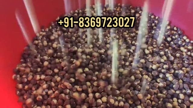 Chana Roaster Machine #New Business Ideas 2021 Guarantee Income #Mini Chana Machine +91-8369723027 смотреть онлайн