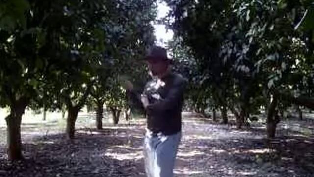 В гостях у сказки