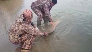 Весенний сом на Балхаше, база "Завидово"