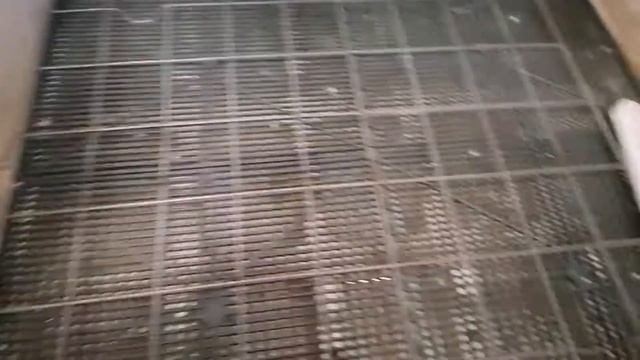 Как правильно закладывать яйца в инкубатор. смотреть онлайн