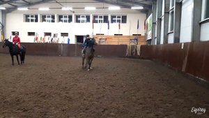 поменяю лошадь? | КОНКУР | GoPro