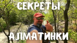 Все прелести Большой Алматинки! Главная река Алматы! #казахстан #алматы #vanlife