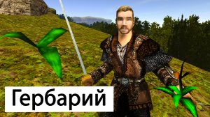 Сушим Мракориса | Часть 37 | Прохождение Готика 2 Ночь Ворона  | Гербарий | Gothic 2