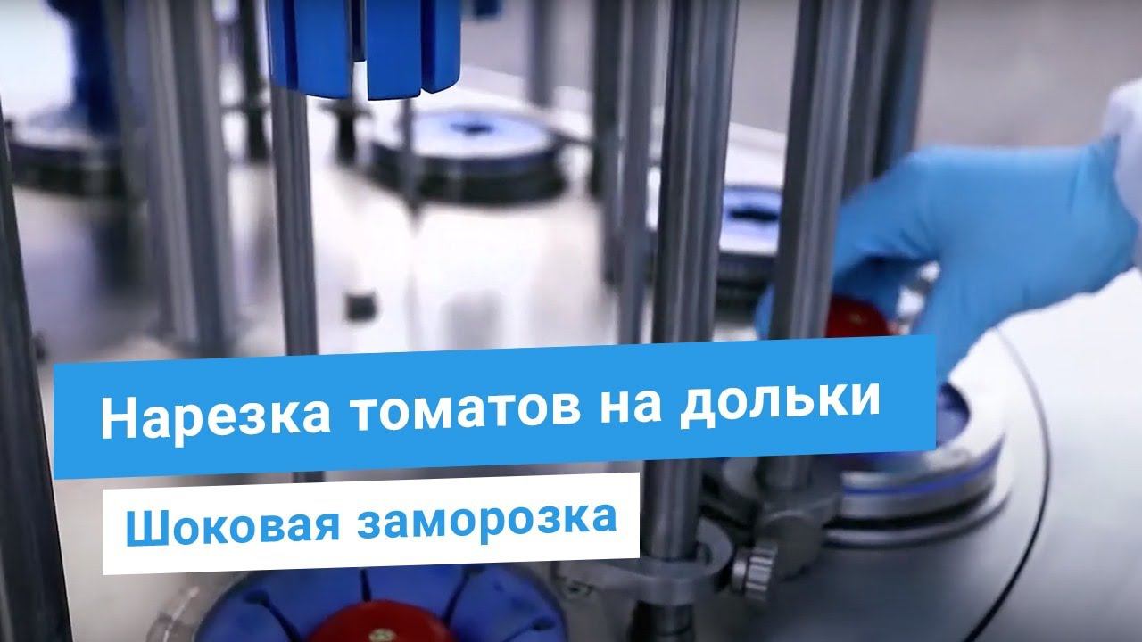 Пром. нарезка овощей (томатов, лука, картофеля) и фруктов (яблок, лимона) на дольки, шайбы, соломку.