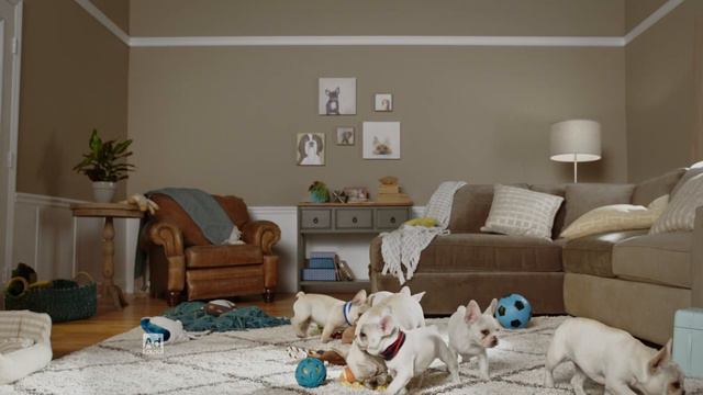 Old Bridge Outlook 2023 Grand Marshal смотреть онлайн