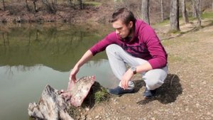 ШАШЛЫК ИЗ СКАТА. МОРСКАЯ ЛИСА НА костре