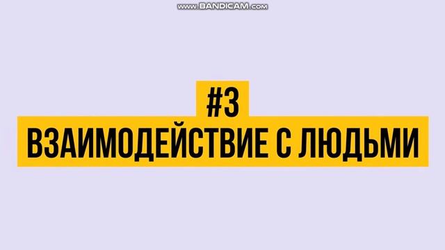 как найти общий язык с котом или кошкай смотреть онлайн