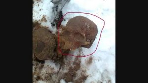 с  Репное, Балашовский р н , Саратовская обл