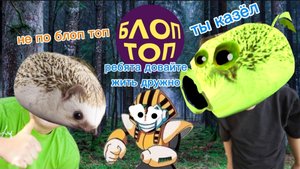 почему камюнети блоп топ такое таксичное