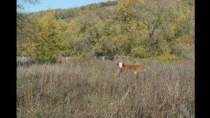 Андрей Сапунов - Молитва ( Чиненков - Шаламов )