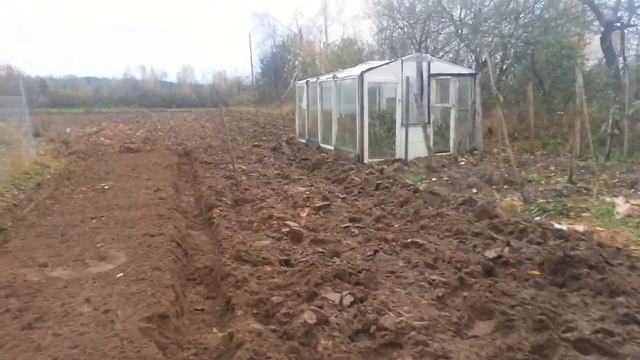 Восстанавливаем клубнику. Готовим грядки для чеснока. смотреть онлайн