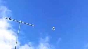 НИКОЛАЕВСКИЕ-ГОЛУБИ. ДОНЕЦК- РОСТОВСКИЙ. 2021.Г.