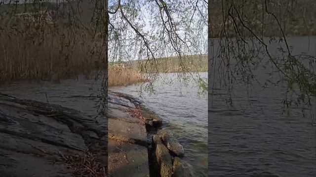 Всем желаю счастья и мира смотреть онлайн