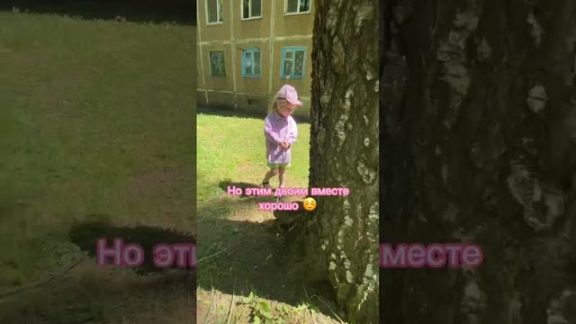 Кот выгуливает ребенка  friendsfunnyvideosмилоевидеоабиссинский_котёнок petscats kitty