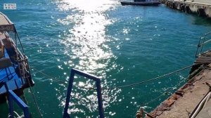 Ялта в ноябре 2023 года. Неспешная прогулка.