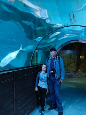 Океанариум.