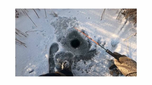 Ловля ротана. Рыбалка зимой. Ищу рыбу на новой плёсе. смотреть онлайн