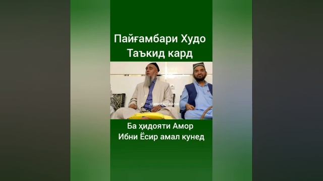 ПАНДУ НАСИХАТ