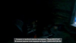 Зимовье. Мой первый опыт рубки зимовья.