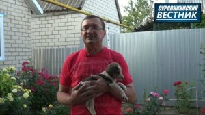 Охотничьи собаки - преданные друзья и верные напарники