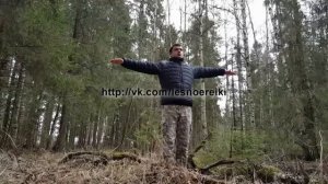 Гимнастика Лесного Рейки