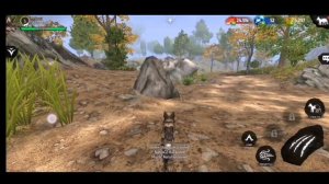 Как играть бесплатно за волчонка в Wolf tales?