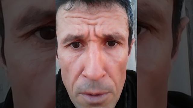 шимкенском музей книга жизни русские народные сказки эта книга есть огненная Библия. смотреть онлайн