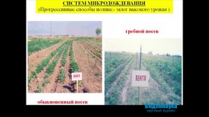 Soil research in Azerbaijan