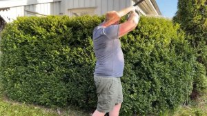 Ryobi Hedge Trimmer: Review and how to maintain it