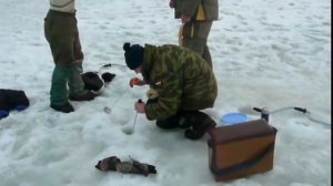 Чигиринское водохранилище РЫБАЛКА В МОГИЛЁВСКОЙ ОБЛАСТИ Чигиринка ЧИЧЕВИЧИ