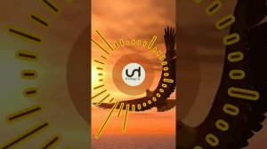 JANAGA Свобода