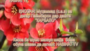 КИССАИ:Мухаммад (с,а,в) ва дигар Паёмбарон дар дашти "КАРБАЛО"