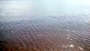 Основы нахлыстового заброса и  техника ловни на нимфы  на Волге