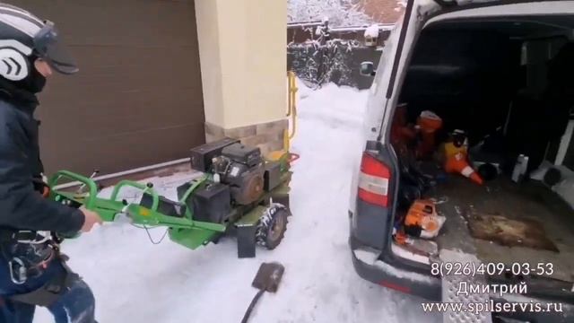 Спил деревьев ,наша работа и моя жизнь)