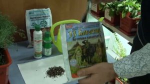 Опыт № 564. Эшшольция. 100 % гарантия успеха