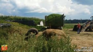 Страда. Заготовка корма для КРС.