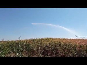 Орошение полей дождевальной машиной Кубань / Автополив